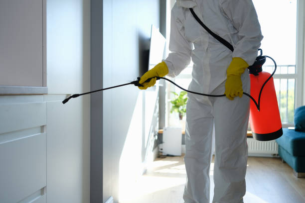 Fergus Falls, MN Mold Removal Company